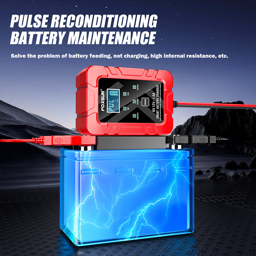 FOXSUR 6 В 12 В автоматическое – обзор и цена Lifepo4 Battery Charger Smart Automatic