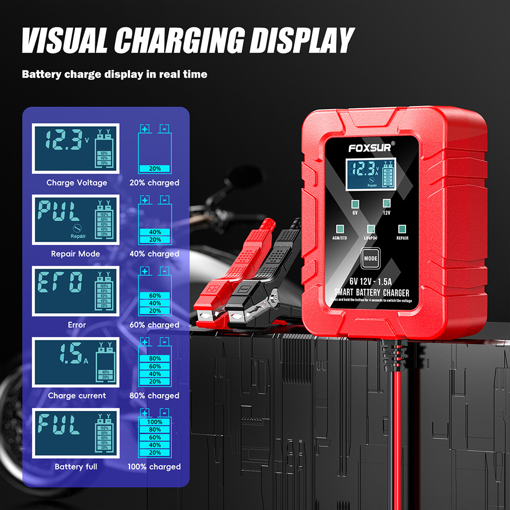 FOXSUR 6 В 12 В автоматическое – обзор и цена Lifepo4 Battery Charger Smart Automatic